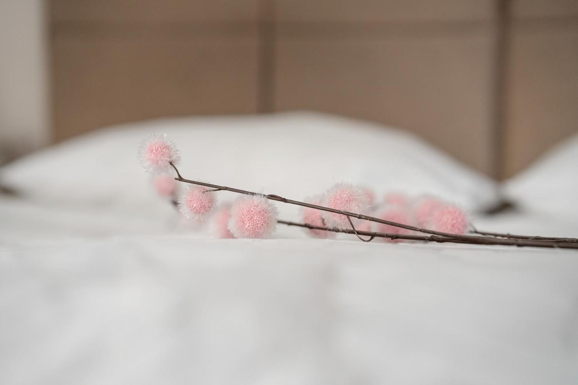 Stylowe I Eleganckie Studia Very Berry W Poznaniu By Noclegi Renters Экстерьер фото